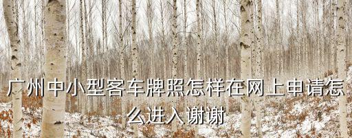 廣州中小型客車牌照怎樣在網上申請怎么進入謝謝