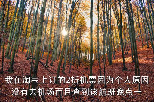 我在淘寶上訂的2折機票因為個人原因沒有去機場而且查到該航班晚點一
