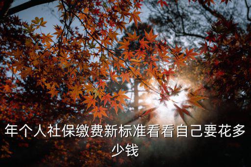 社保交費，年個人社保繳費新標準看看自己要花多少錢