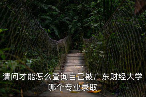 請問才能怎么查詢自己被廣東財經大學哪個專業錄取