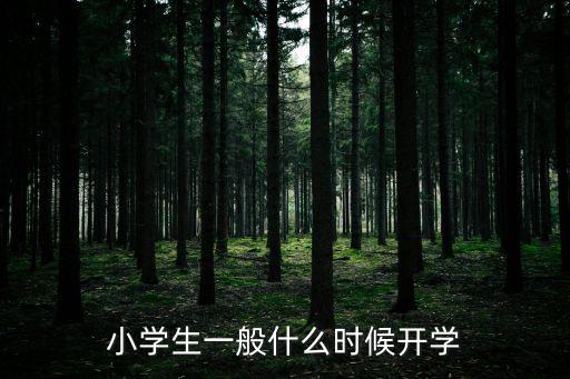 小學生一般什么時候開學