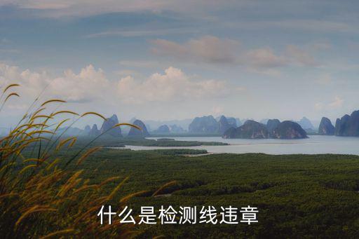 檢測線，交警隊的檢測線工作是什么工作