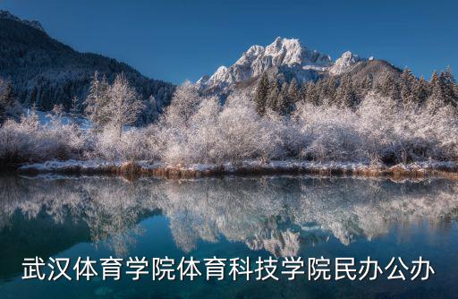 武漢體育學院體育科技學院民辦公辦