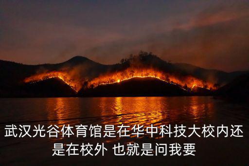 武漢光谷體育館是在華中科技大校內還是在校外 也就是問我要