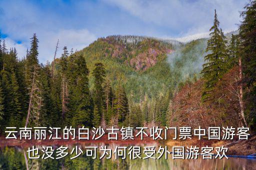 麗江白沙古鎮，云南麗江白沙古鎮和述龍醫術如何