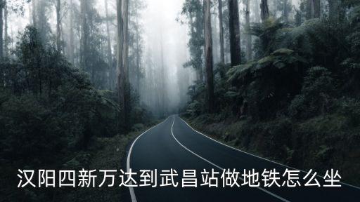 漢陽四新萬達到武昌站做地鐵怎么坐