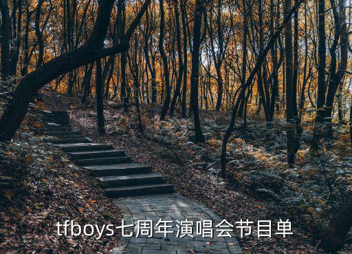 tfboys七周年演唱會節目單