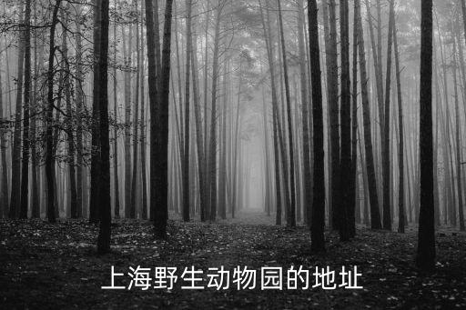 上海野生動物園的地址