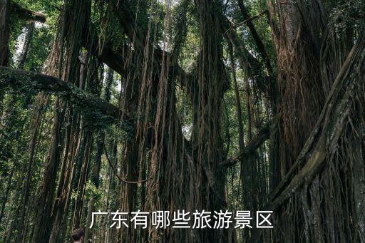 廣東有哪些旅游景區