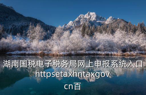 湖南國稅電子稅務(wù)局網(wǎng)上申報(bào)系統(tǒng)入口httpsetaxhntaxgovcn百