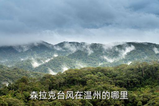 森拉克臺風在溫州的哪里