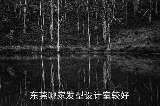 東莞哪家發型設計室較好
