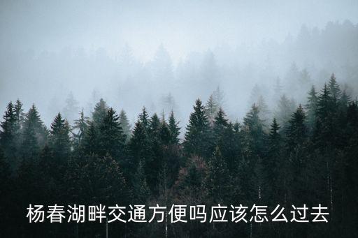 楊春湖畔交通方便嗎應(yīng)該怎么過去