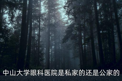 中山大學(xué)眼科醫(yī)院是私家的還是公家的