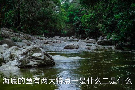 海底的魚有兩大特點一是什么二是什么