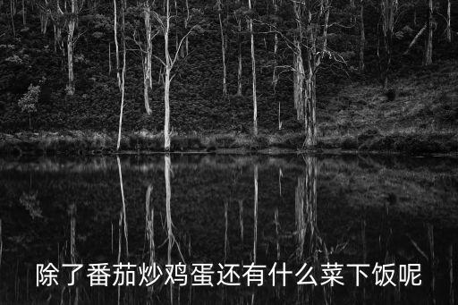 除了番茄炒雞蛋還有什么菜下飯呢