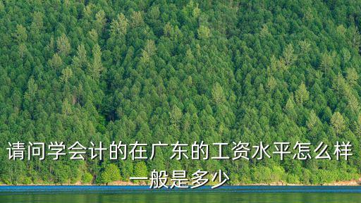 請問學(xué)會(huì)計(jì)的在廣東的工資水平怎么樣一般是多少