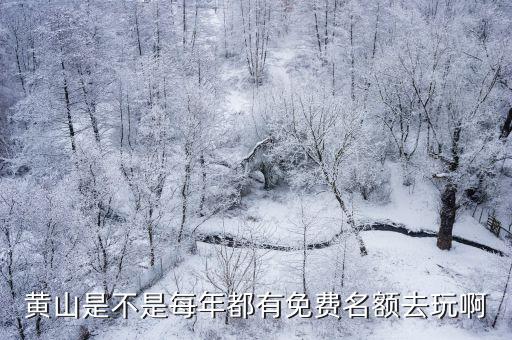 黃山是不是每年都有免費名額去玩啊