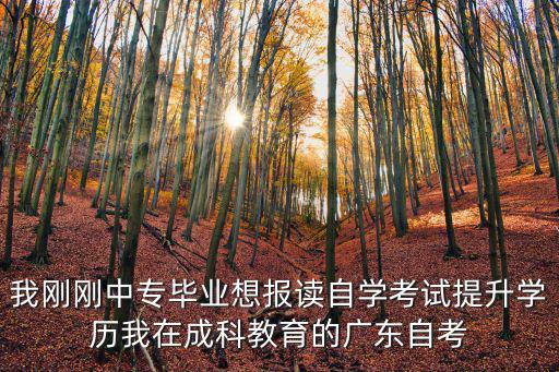 廣東省教育網官網，我剛剛中專畢業想報讀自學考試提升學歷我在成科教育的廣東自考