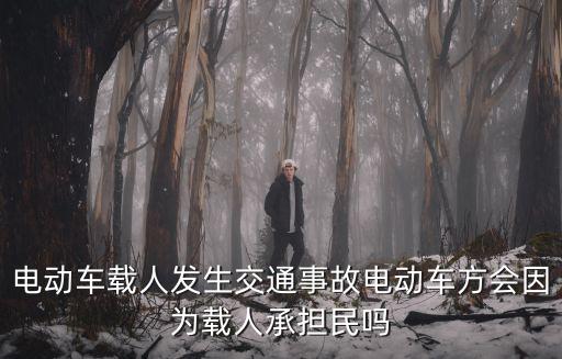 電動車載人，電動車載人發生交通事故電動車方會因為載人承擔民嗎