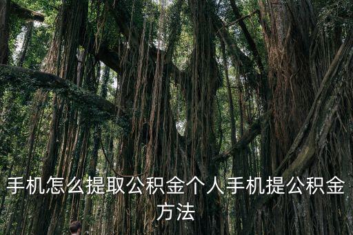 手機(jī)怎么提取公積金個人手機(jī)提公積金方法