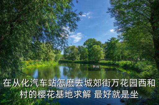 在從化汽車站怎麼去城郊街萬花園西和村的櫻花基地求解 最好就是坐