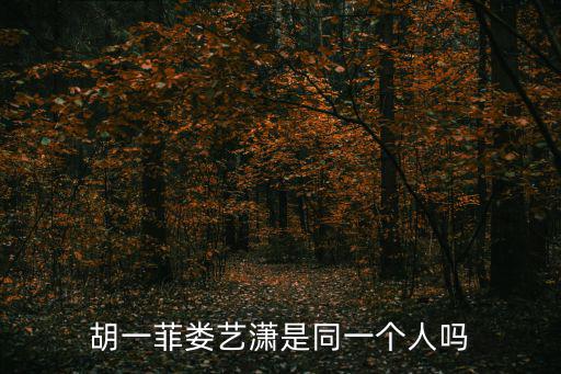 胡一菲婁藝瀟是同一個人嗎