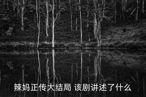 辣媽正傳大結局 該劇講述了什么