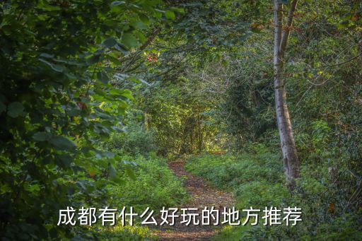 成都有什么好玩的地方推薦