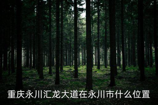 龍大道，龍大道故居在哪