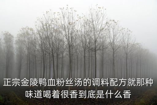 金陵鴨血粉絲湯，金陵鴨血粉絲湯的鴨血好不好吃