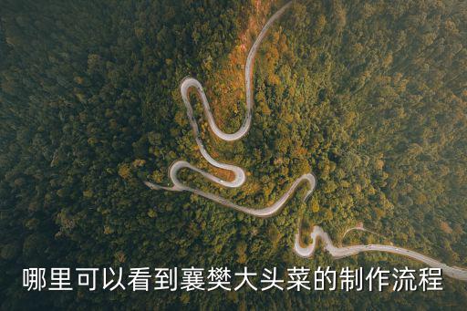 哪里可以看到襄樊大頭菜的制作流程