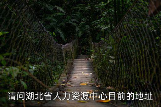 請問湖北省人力資源中心目前的地址