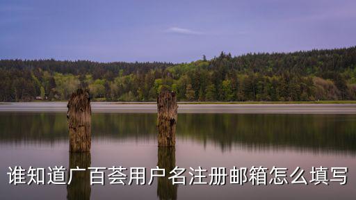誰知道廣百薈用戶名注冊郵箱怎么填寫