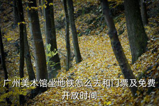 廣州美術館坐地鐵怎么去和門票及免費開放時間