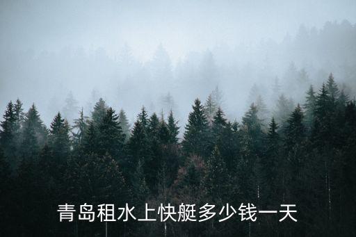 青島租水上快艇多少錢一天