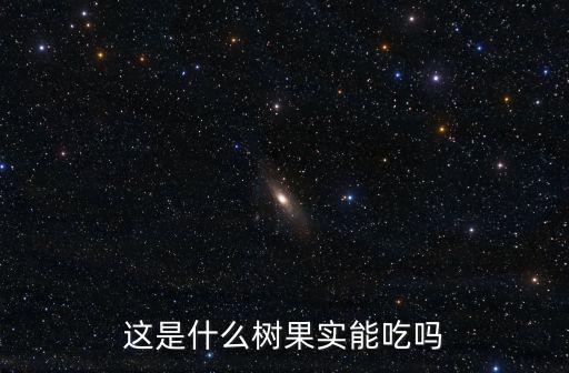 這是什么樹果實能吃嗎