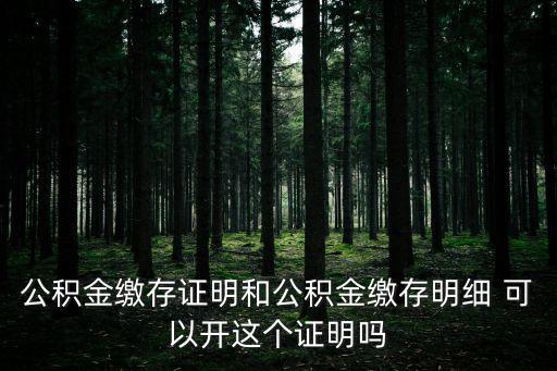 公積金繳納證明，公積金繳存證明和公積金繳存明細(xì) 可以開(kāi)這個(gè)證明嗎