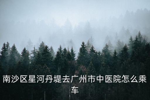 廣州市中醫院，廣州市中醫院在哪里
