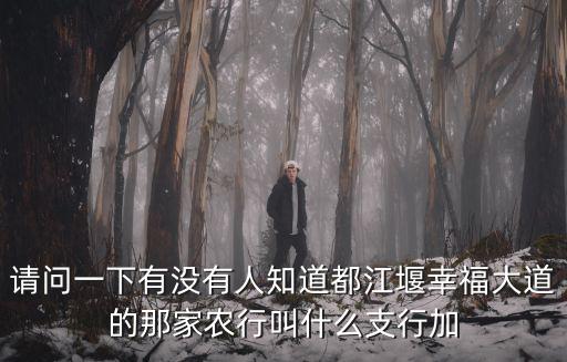 請問一下有沒有人知道都江堰幸福大道的那家農(nóng)行叫什么支行加