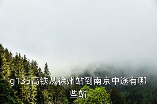 g135高鐵從徐州站到南京中途有哪些站