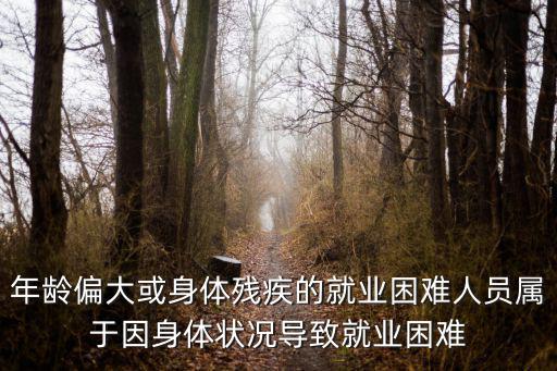 年齡偏大或身體殘疾的就業(yè)困難人員屬于因身體狀況導(dǎo)致就業(yè)困難
