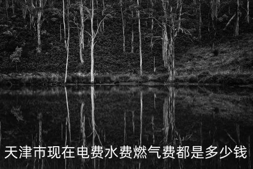 燃氣費，1平方米燃氣費是16元1立方米多少元