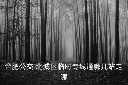 合肥公交 北城區臨時專線通哪幾站走哪