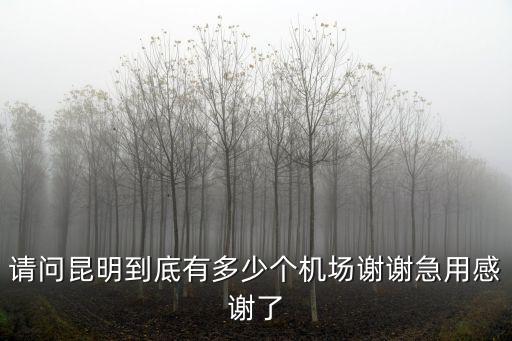 請問昆明到底有多少個機場謝謝急用感謝了