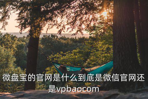 微盤寶的官網(wǎng)是什么到底是微信官網(wǎng)還是vpbaocom