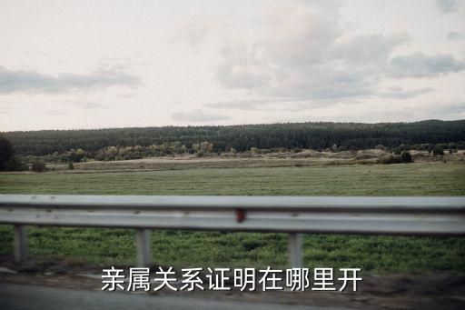 親屬關(guān)系證明在哪里開