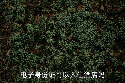 電子身份證可以入住酒店嗎