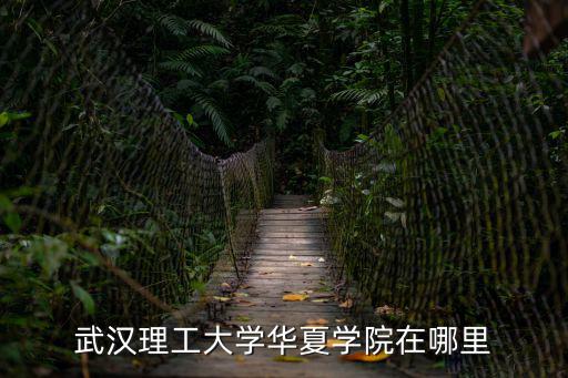 武漢理工大學華夏學院在哪里