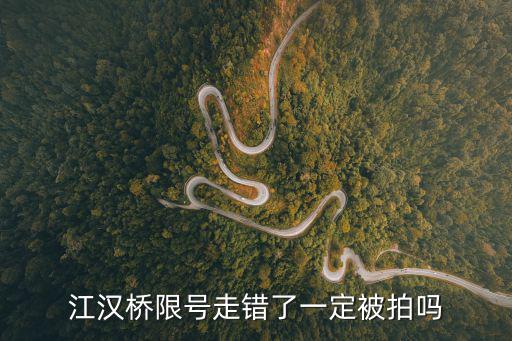 江漢橋限號走錯了一定被拍嗎